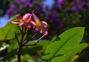 DSC_6912.jpg